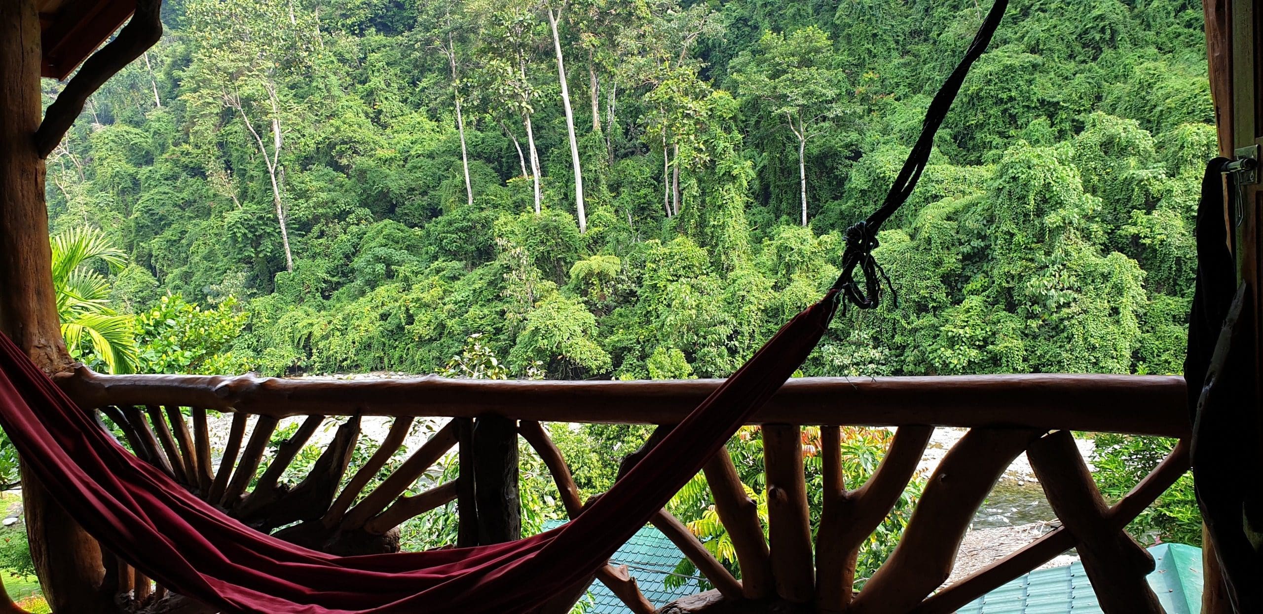 Jungle Inn Balcony overlooking the jungle in Bukit Lawang