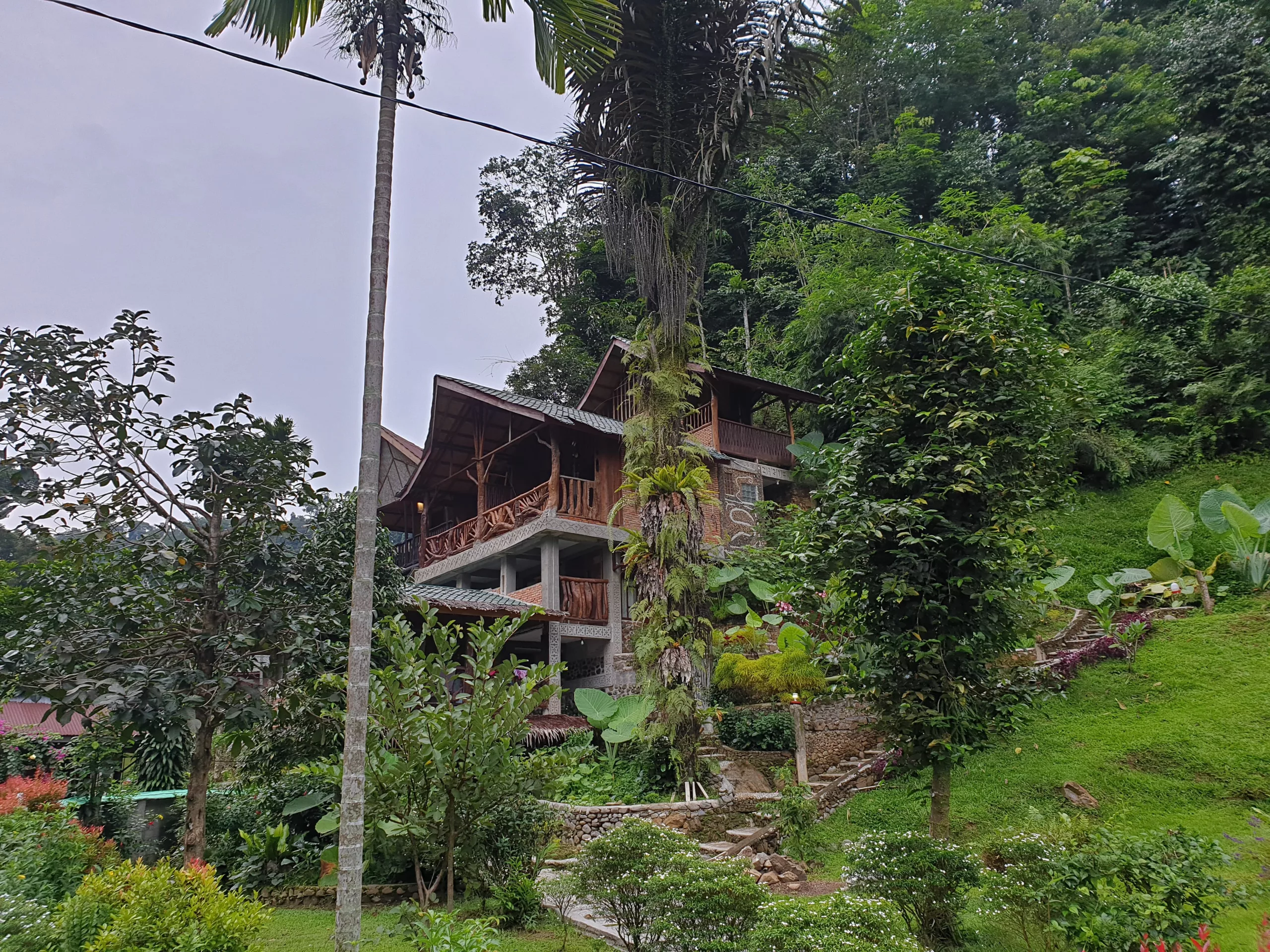 Jungle Inn