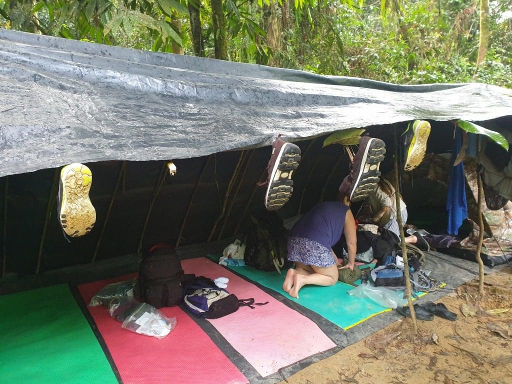Jungle camp was a rough set up, Jungle trek Sumatra Indonesia