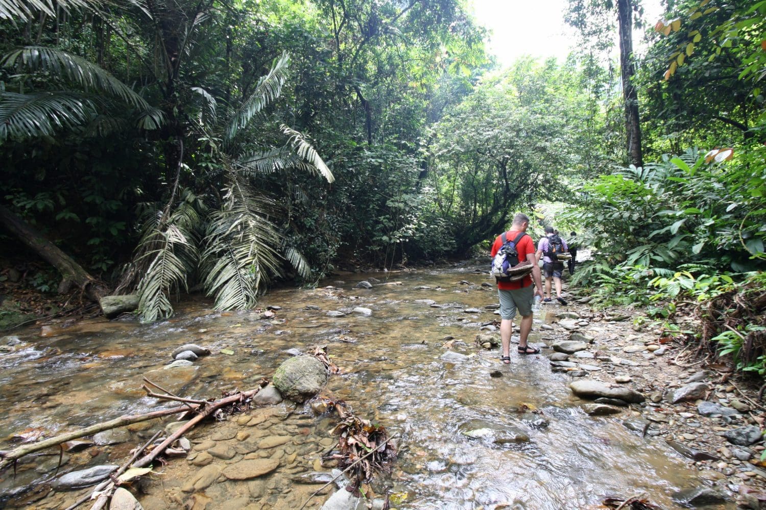 Mike walking up a shallow area of the river, Jungle trek Sumatra Indonesia