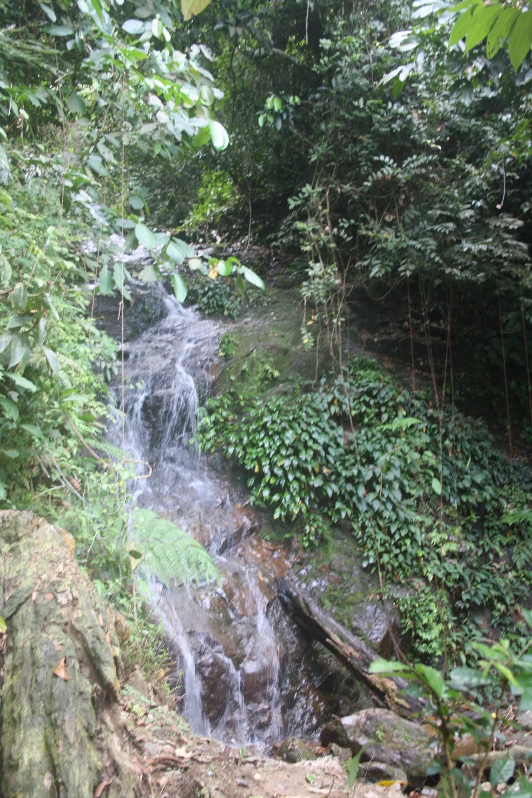 waterfall along the walk