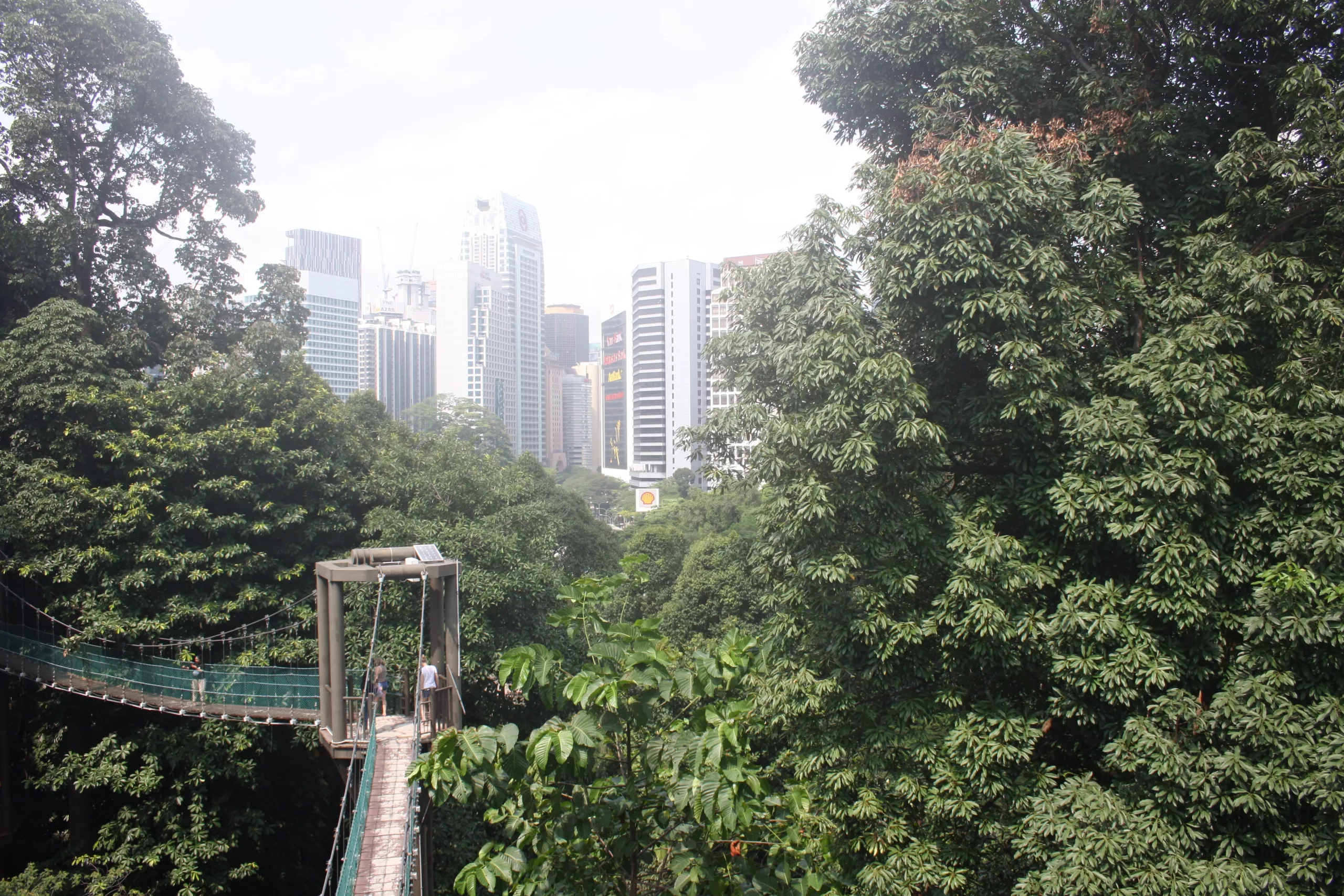 The city peaks through the trees at KL Eco Park