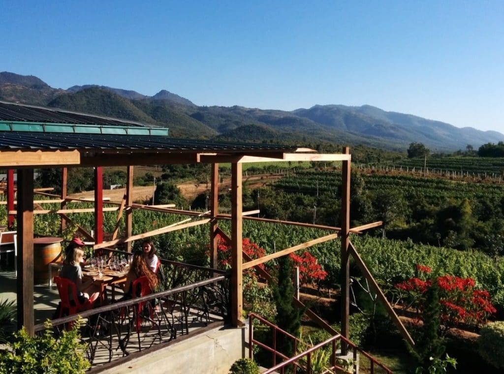 Wine tasting at Red Mountain Winery Myanmar
