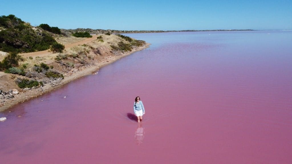 Pink Lake Hutt Lagoon WA