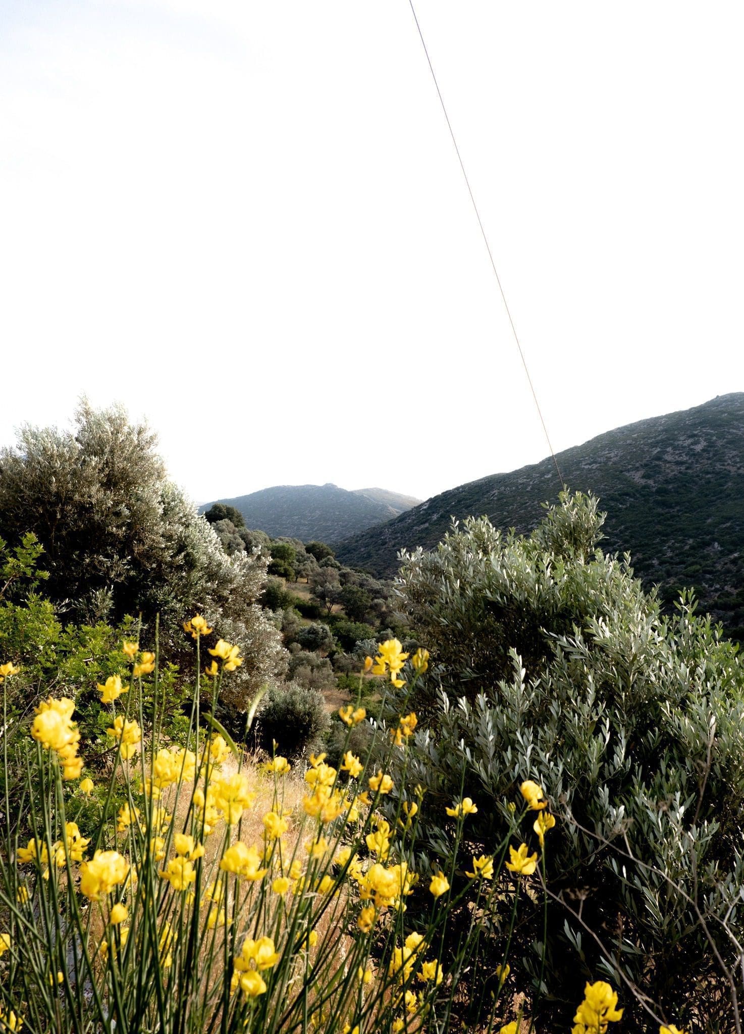 Landscape around ELaiolithos Luxury Retreat Hotel