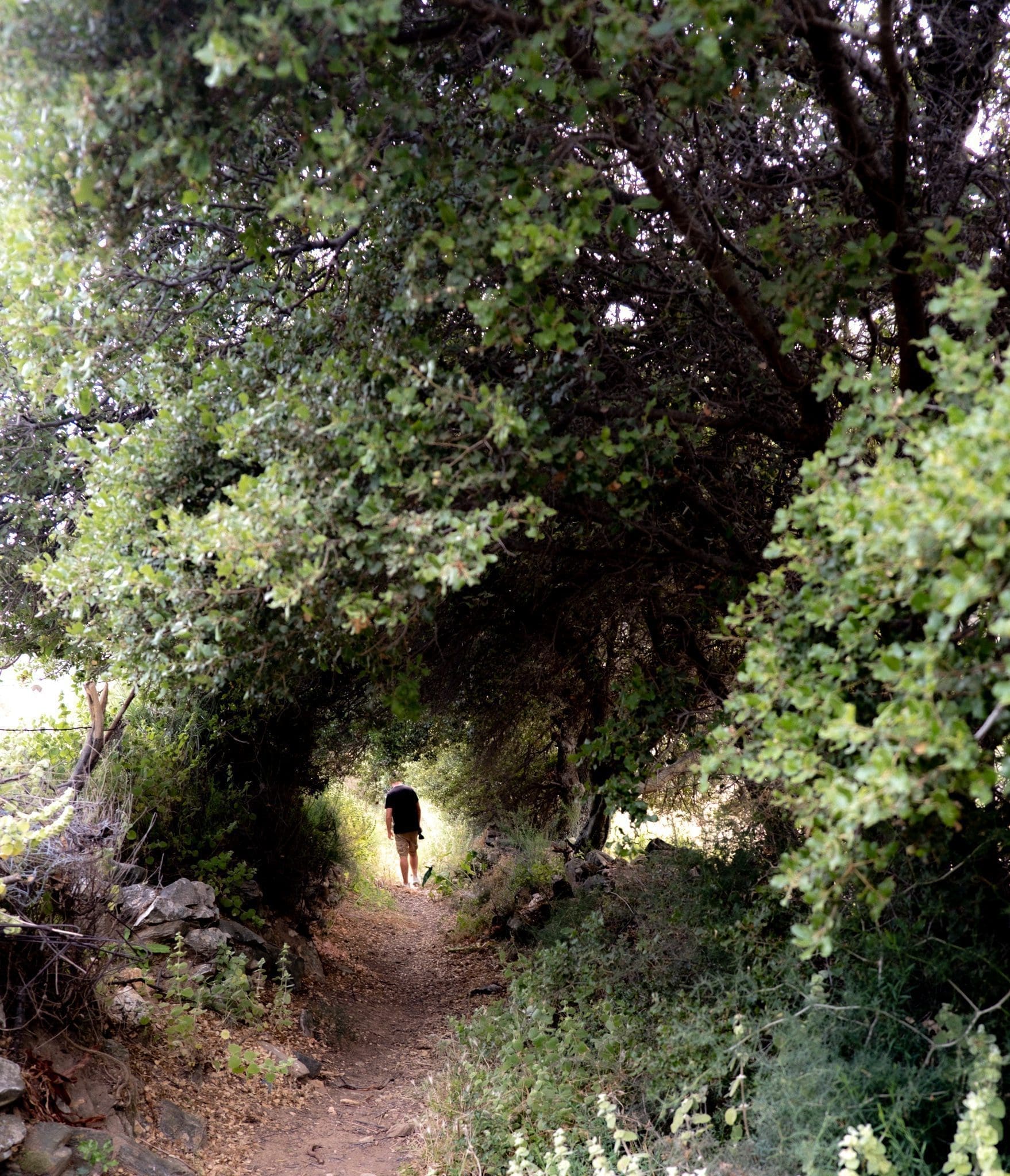 Hiking from ELaiolithos Luxury Retreat Hotel