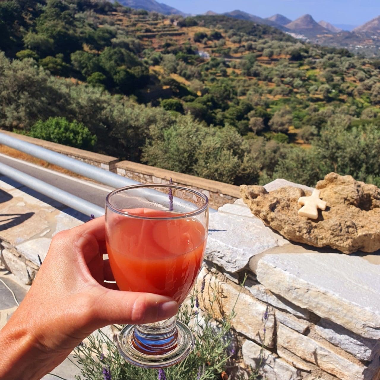 fresh juice at ELaiolithos