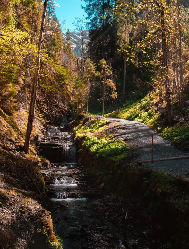 wengen