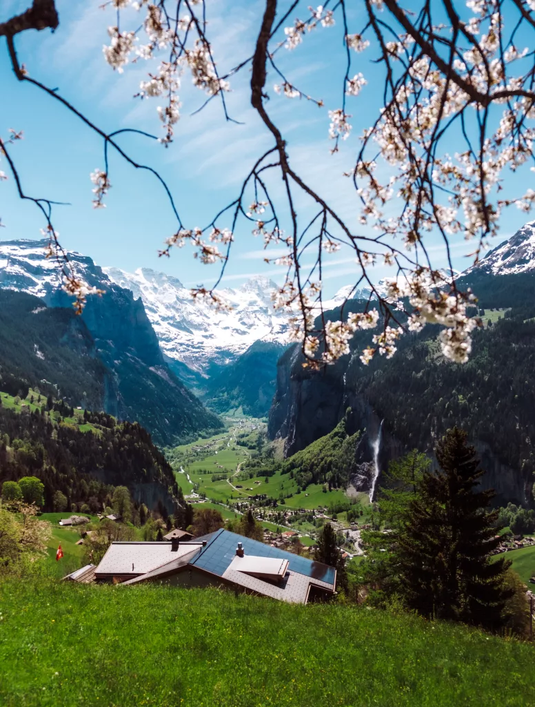 wengen