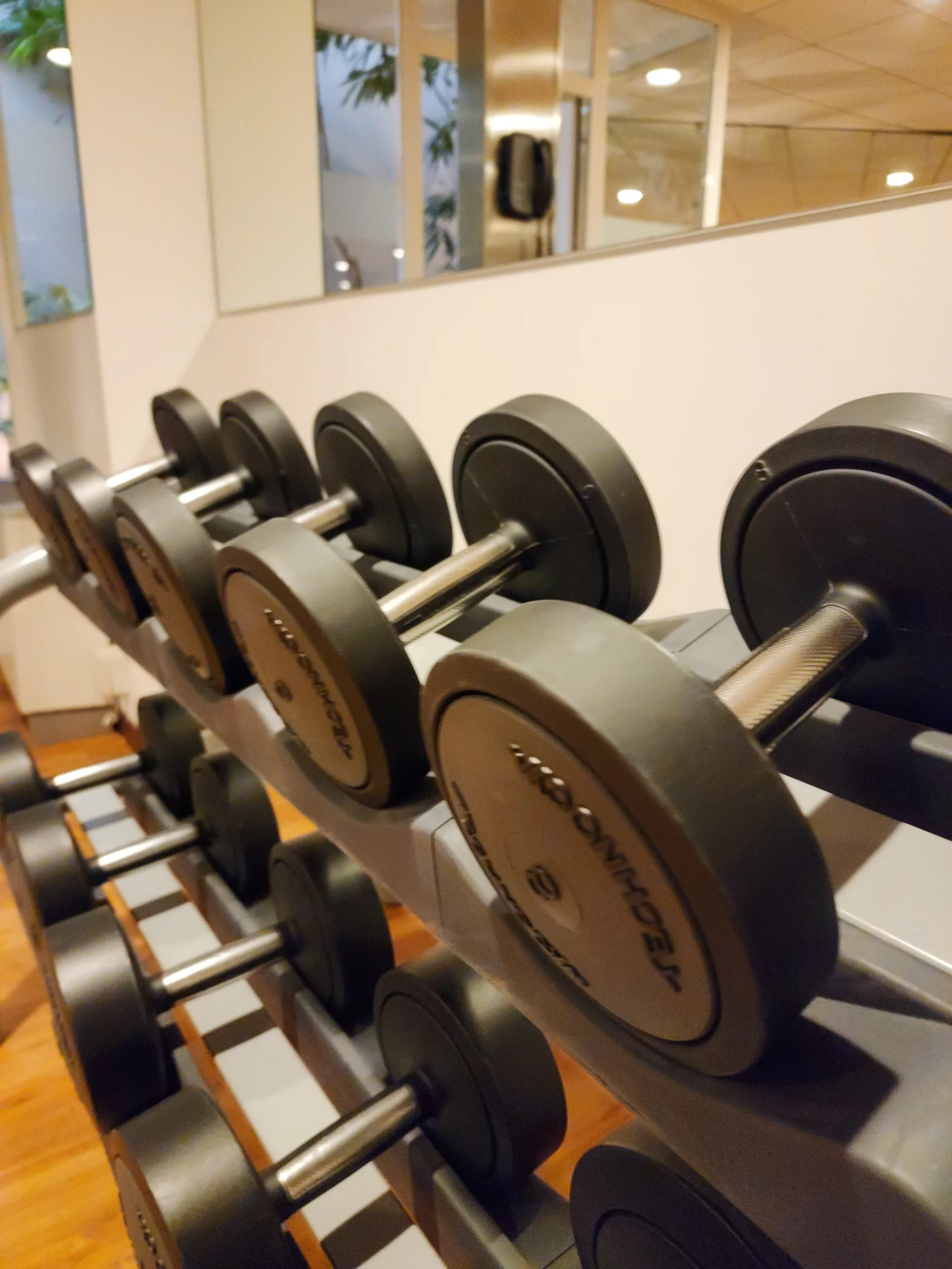 Fully equipped gym at Sheraton Lake Como