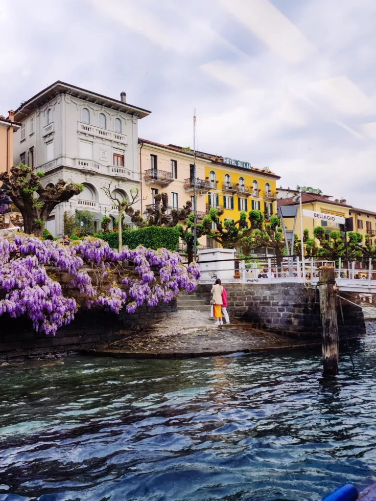 Bellagio waterfront wisteria 