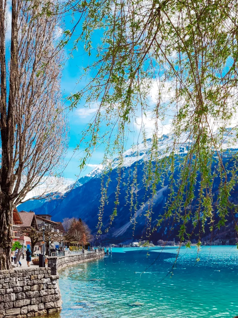 Views from Isletwald, Lake Brienz