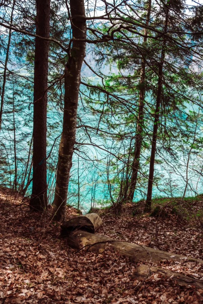 views while hiking Lake Brienz