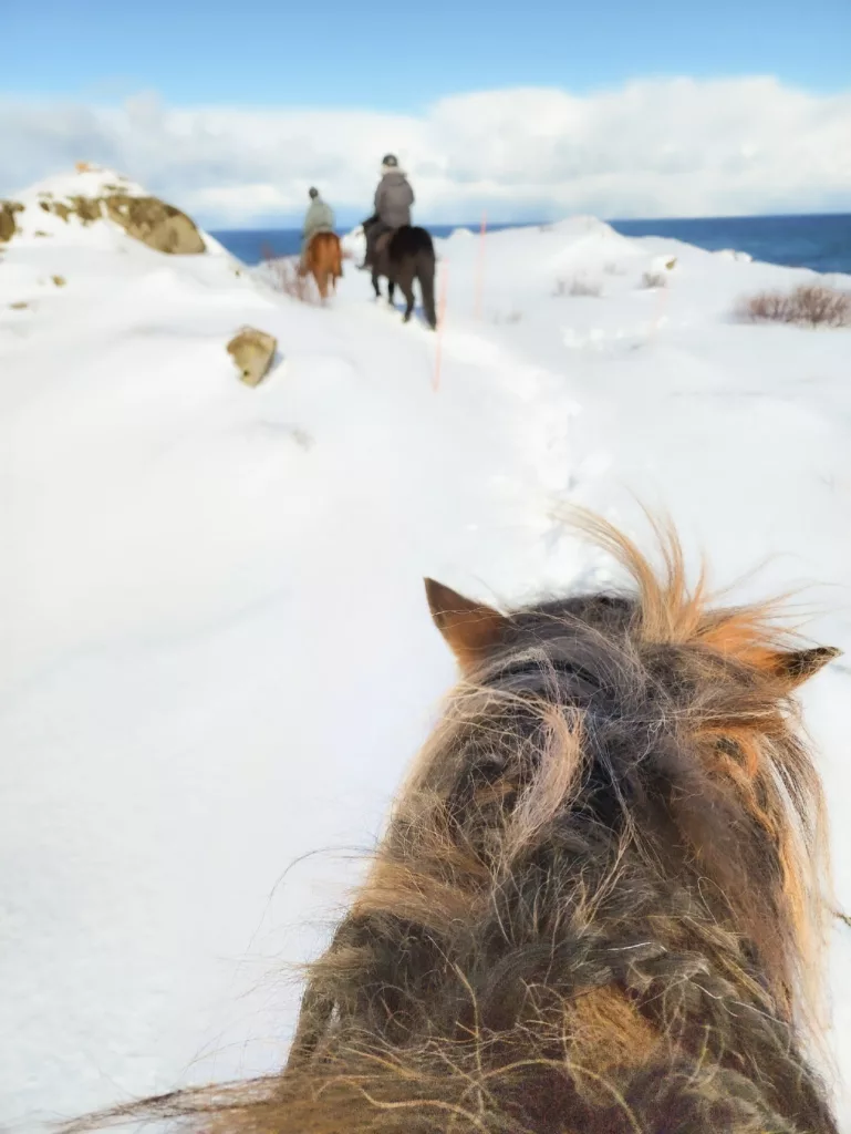 our Icelandic horse ride at Hov Gard Lofoten Islands