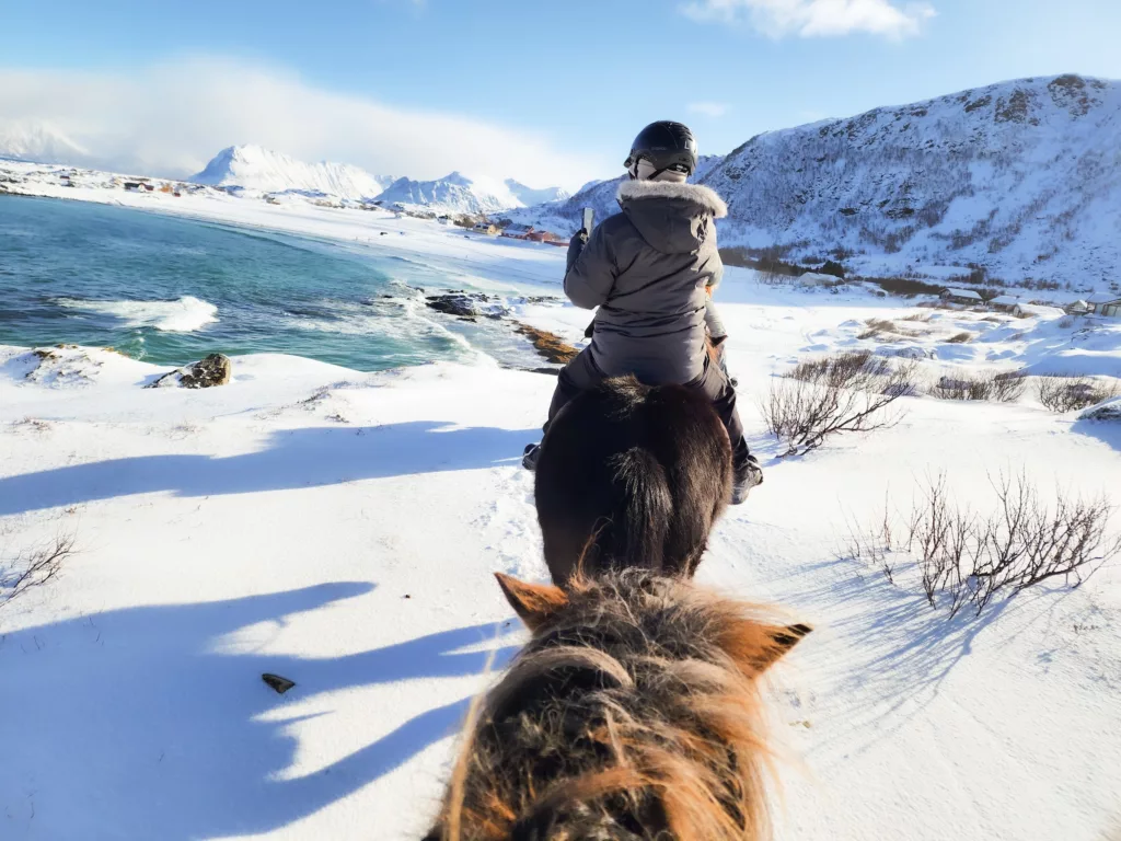 our Icelandic horse ride at Hov Gard Lofoten Islands