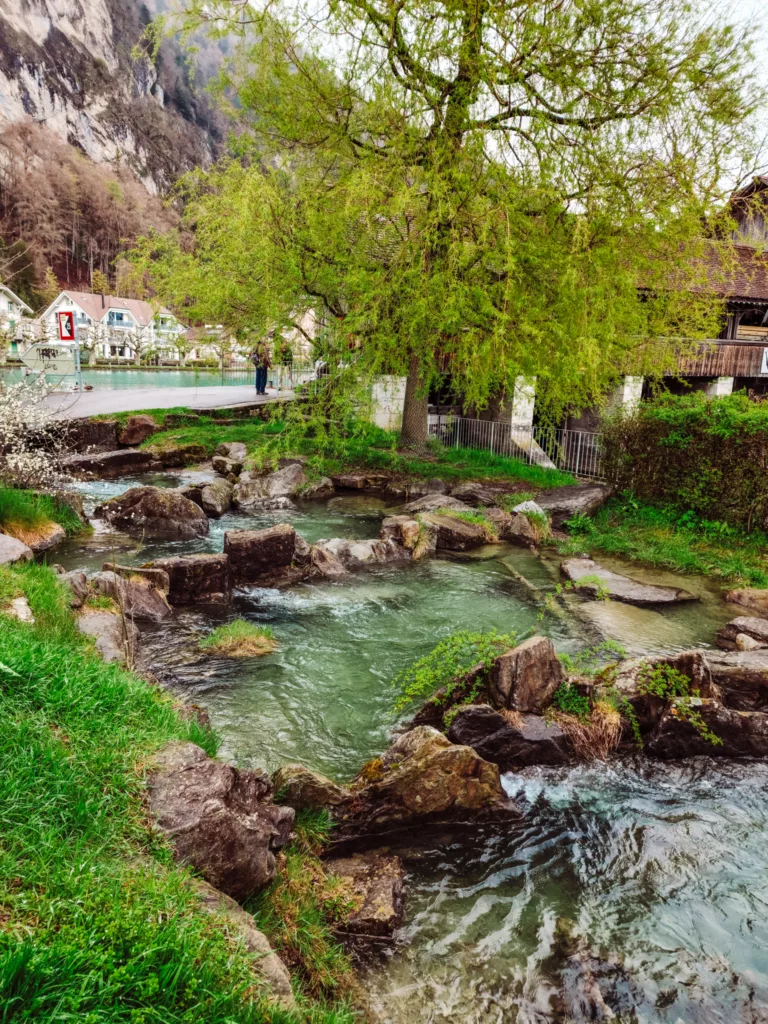 fishpass in Interlaken