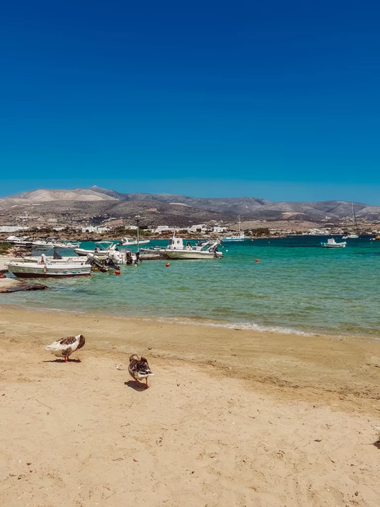 Antiparos is a tiny and quaint Greek Island