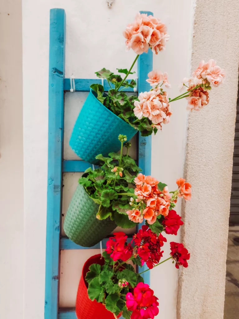 Cisternino is the most charming town in Puglia, Italy