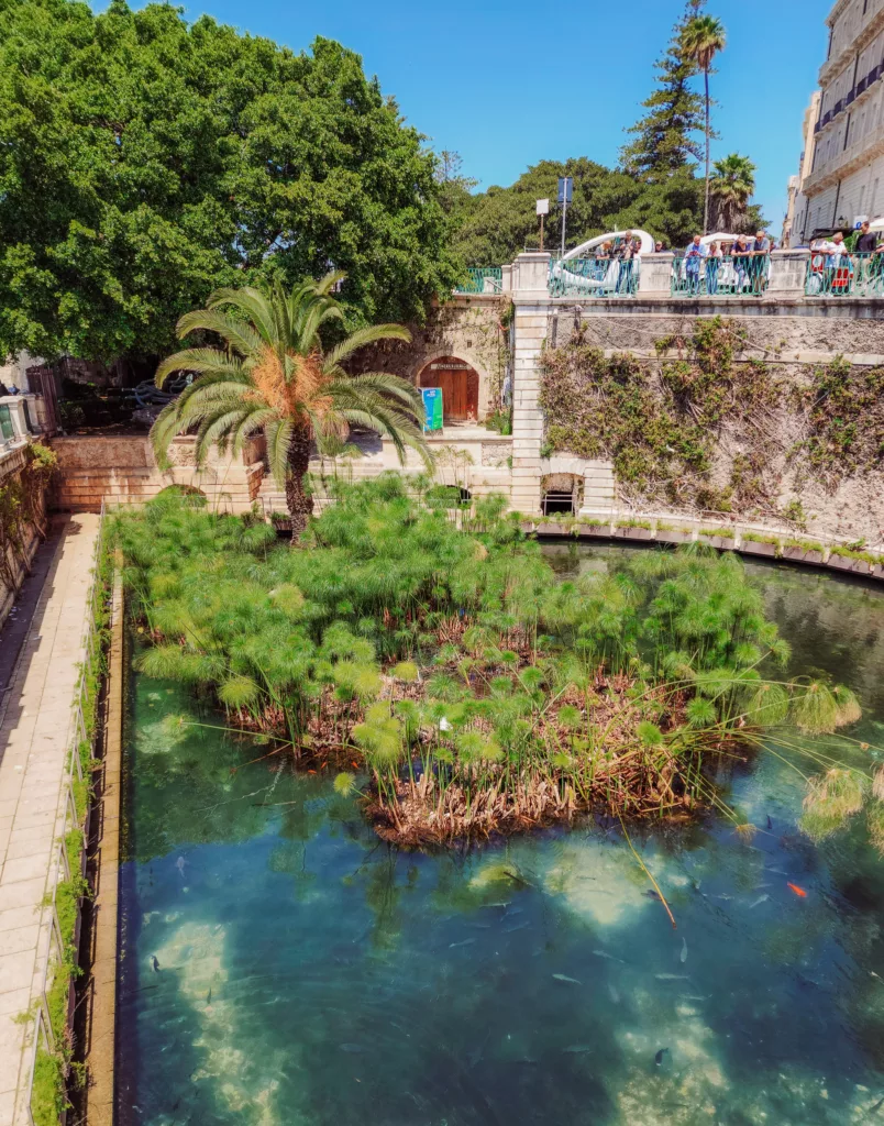 Aretusa Fountain, Aretusa Spring Ortigia Sicily