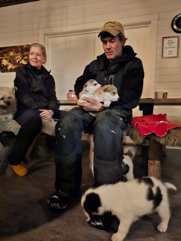 Meeting husky puppies on our northern lights on our Best Arctic tour Tromso