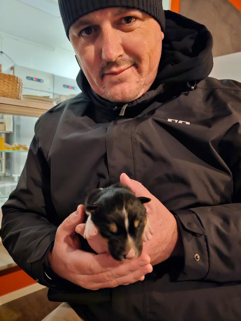 Meeting husky puppies on our northern lights on our Best Arctic tour Tromso