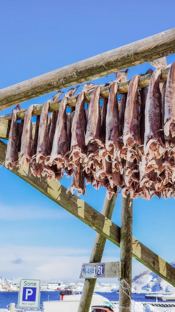 fish drying racks in Reine, Norway