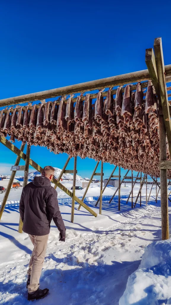 fish drying racks in Reine, Norway