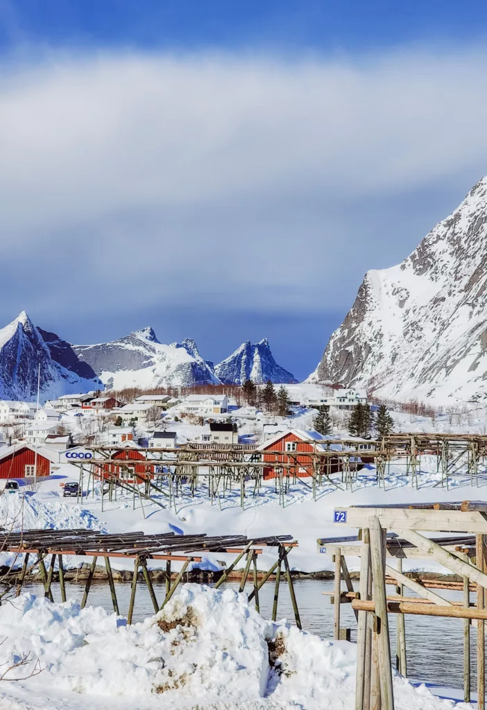 pretty Reine Norway