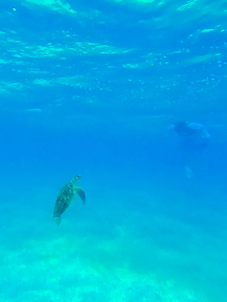 snorkelling in Mahahual Costa Maya Meico