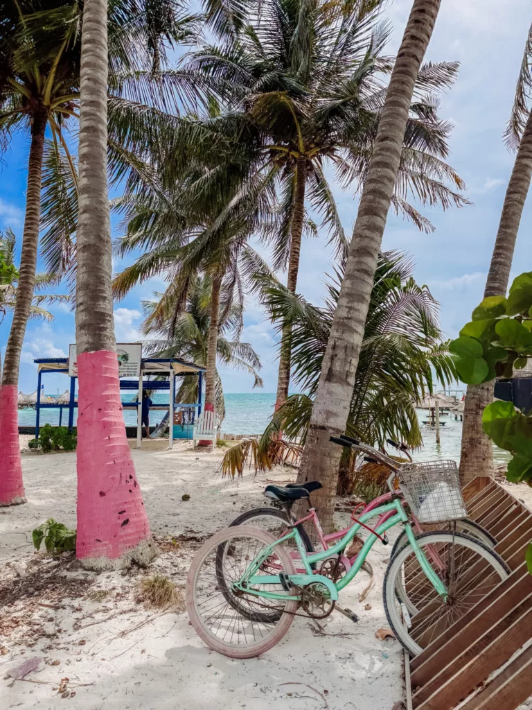 pretty scenes and riding bikes in Caye Caulker Belize