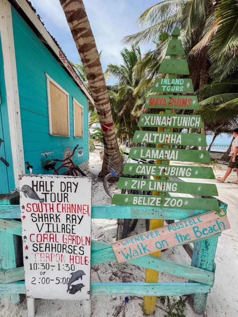 snorkelling trips are readily available on Caye Caulker
