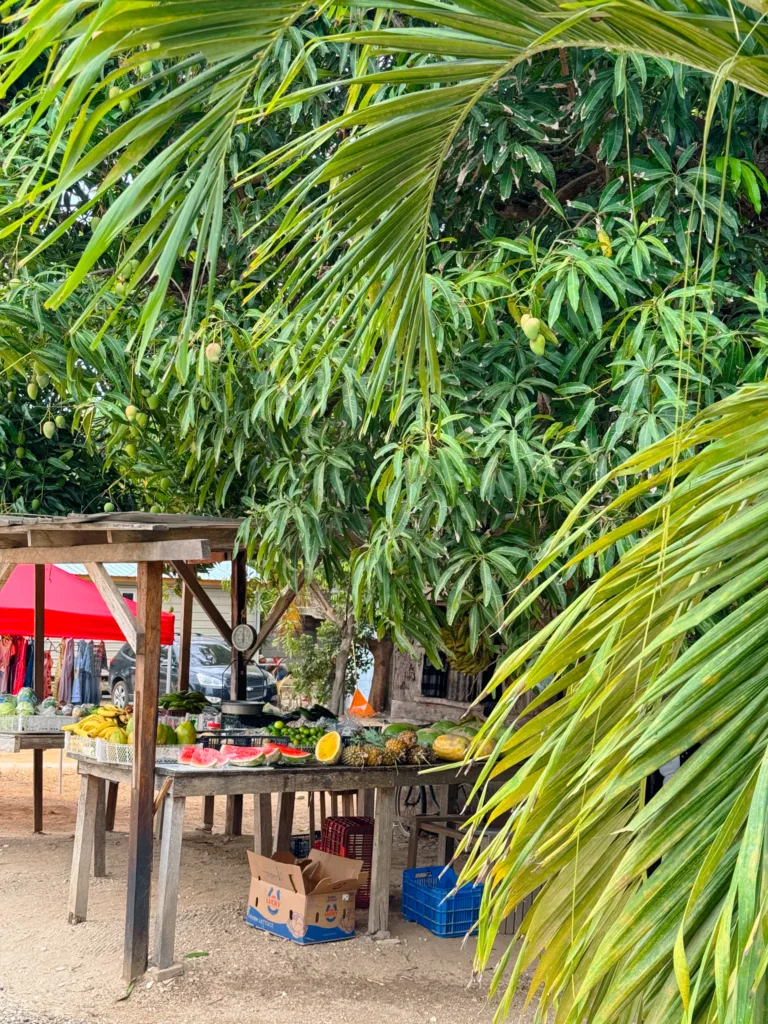 Is Hopkins worth visiting in Belize? Passport Nomads